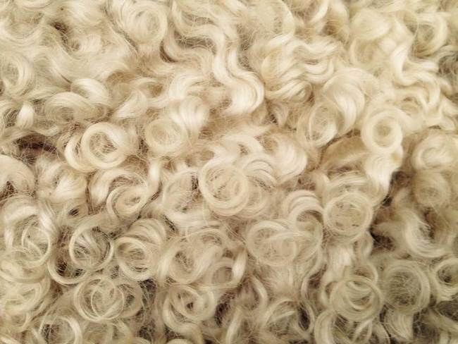 Fiber - Fibre