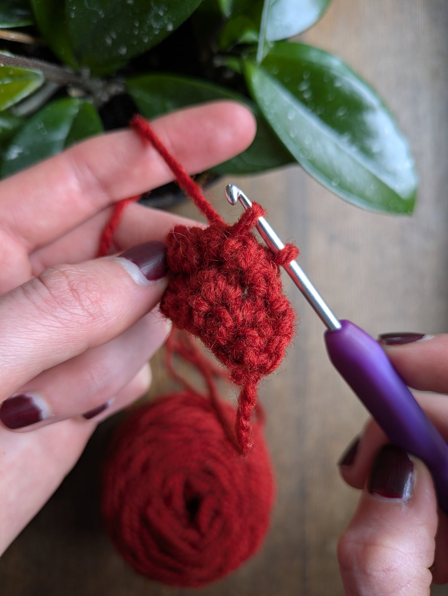 Bonjour, Amigurumi ! — Série de 3 ateliers crochet 🍄🐝🌸